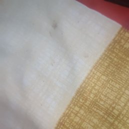Ruchi, �����������, 28 ���