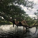 ���� ��������, ������, 31 ��� - ��������� 8 ���� 2026