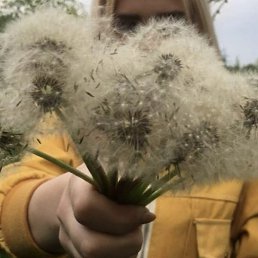 ����, ������-��-����, 39 ���