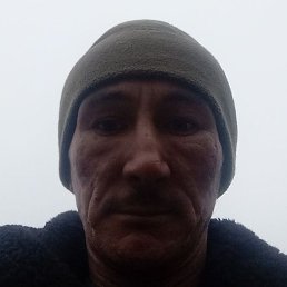 ���������, ����, 37 ���