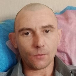 ������, �����������, 37 ���