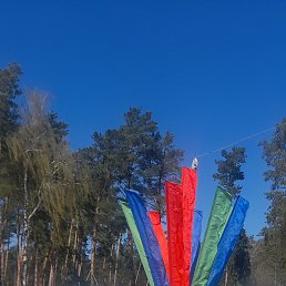 ���� ���������, ������, 53 ���� - ��������� 8 ��� 2026