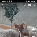 ���� �����, ������, 58 ��� - ��������� 4 ������� 2023 � ������ ���� ����������