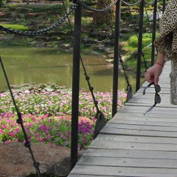 ����, ������, 59 ���