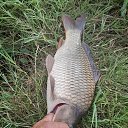 ���� ���������, ������, 55 ��� - ��������� 21 ������� 2024 � ������ ���� ����������