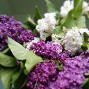 ���� �����, ���������, 67 ��� - ��������� 23 ���� 2026 � ������ ���� ����������