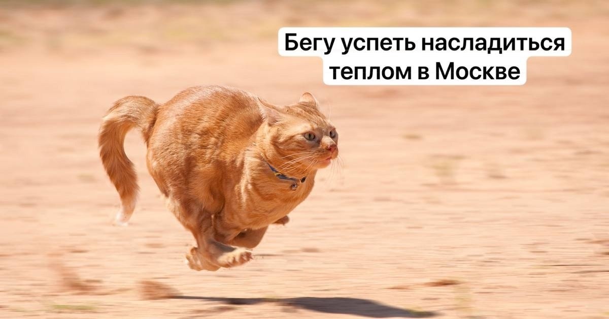    ,   ,     ,  .   +20 ...