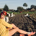 ���� ����, �����, 37 ��� - ��������� 4 ������ 2023 � ������ ���� ����������