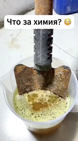 ������������ �����.������