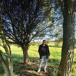 �����, �����, 44 ����