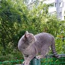 ���� ������, ������������ - ��������� 12 ������ 2025 � ������ ������ ��������