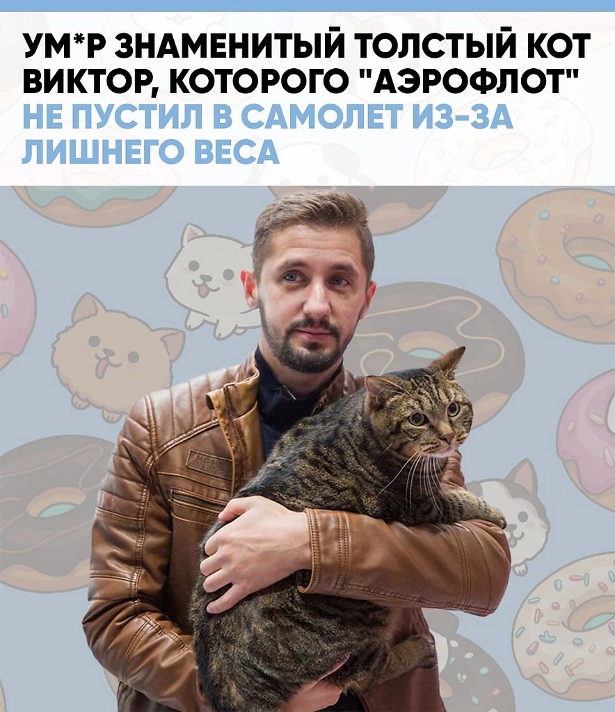 ��*� ��� ������ � ������, ������� �������� � ����� �������.�� 8-� ���� ����� �� ����� ������� � ���� ...