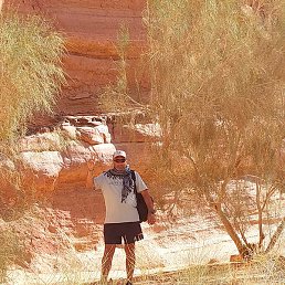 ������, �������, 53 ����