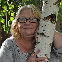 �������, ������, 66 ���