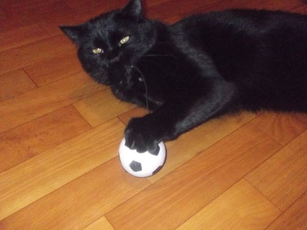 Andrei - 19  2025  23:11