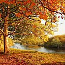 ���� ���������, ��������-������������, 43 ���� - ��������� 17 ������ 2023 � ������ ������ ��������