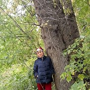 , 40 , 