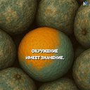 ���� ����������, �����, 41 ��� - ��������� 16 ���� 2026 � ������ ���� ����������
