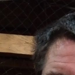 ���������, ������, 37 ���