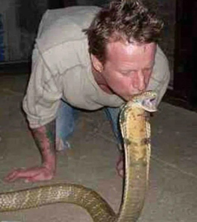 Пьяный мужик был укушен гадюкой, но яд не оказал на него токсического действия. При этом сама змея ... - 2