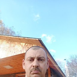 , 43, 