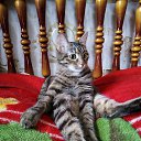 ���� ����, ��������� - ��������� 12 ������ 2025 � ������ ������ ��������