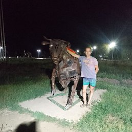 ��������� �����, ���������, 40 ���