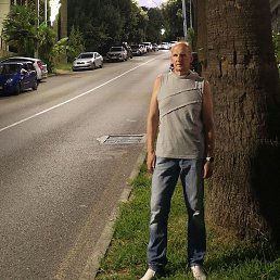 , 53, 