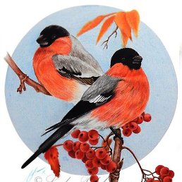 ���� ������������ ���, ������, 51 ���