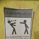 ���� ����, ������, 43 ���� - ��������� 28 ������ 2024 � ������ ���� ����������