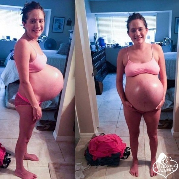 � �������� ���������