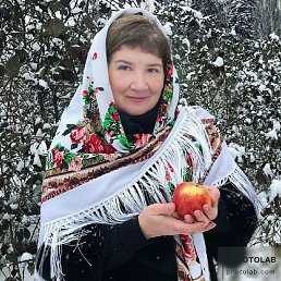 ���� �������, ����, 73 ���� - ��������� 26 ������ 2026