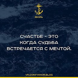 ���� ������, ����, 41 ��� - ��������� 22 ������ 2024