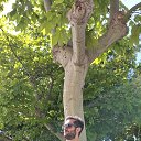 ���� Rasim, �����-���������, 32 ���� - ��������� 30 ��� 2024