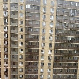 Art, ������, 34 ����