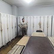 , 35 , 