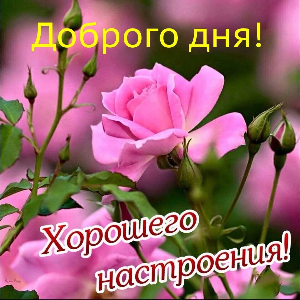   - 27  2025  16:55