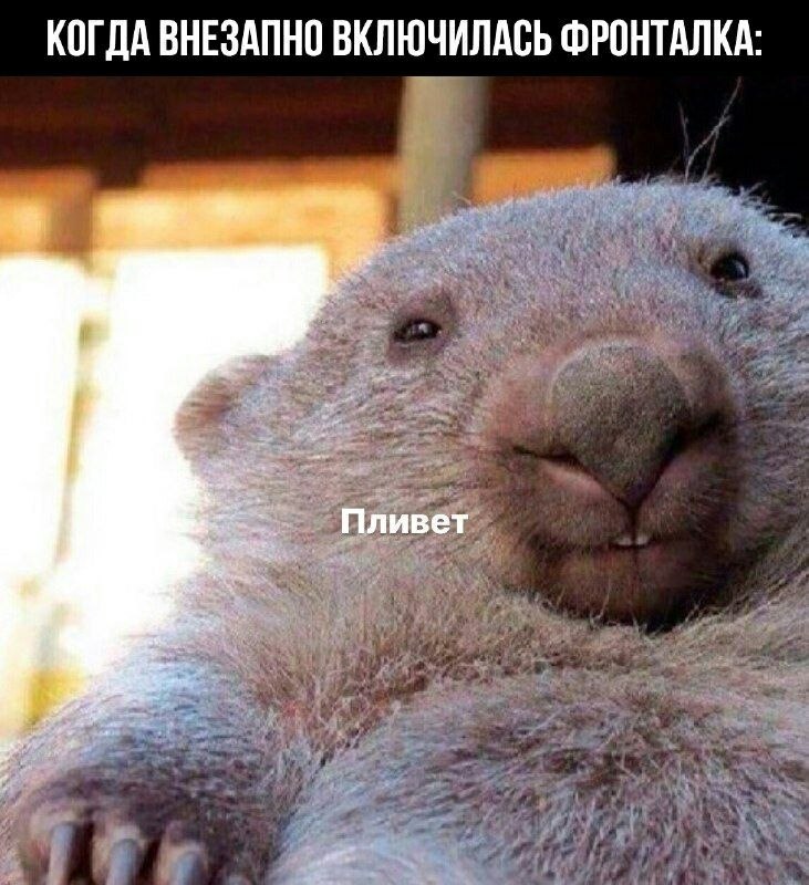    - 12  2023  13:38