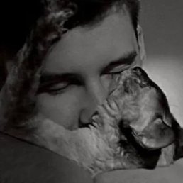 �����, �����, 23 ����