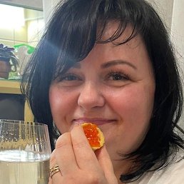 �������, ������, 41 ���