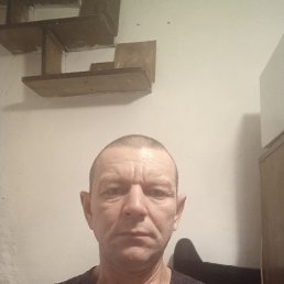 , 44 , 