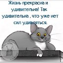 ���� �����, ������, 51 ��� - ��������� 16 ���� 2025