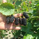 ���� ����, �����������, 56 ��� - ��������� 24 ���� 2024 � ������ ���� ����������