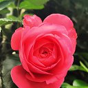 ���� �����, ������ - ��������� 23 ������� 2026 � ������ �������