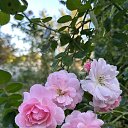 ���� ������, ���������, 69 ��� - ��������� 7 ������� 2025 � ������ ������ 2025�