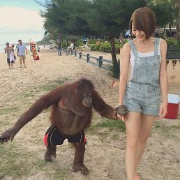 ��������, ������, 38 ���