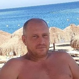 ����, ���������, 43 ����