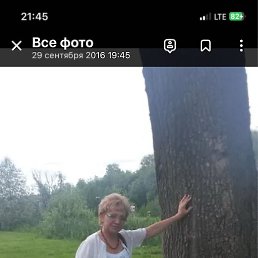 �����, �����, 64 ����