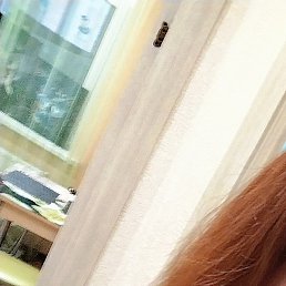 ���������, ���������, 31 ���