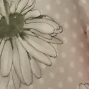 ����, 63 ����, ������